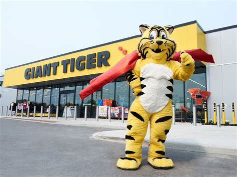 giant tiger|More.